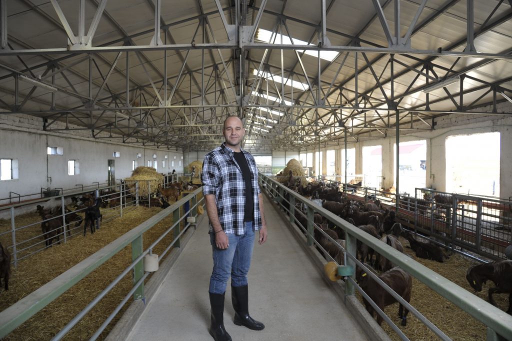 Boerderij 53000m2 Inclusief Plek En Installaties Voor Max 2200 Geiten boerderij-53000m2-inclusief-plek-en-installaties-voor-max-2200-geiten